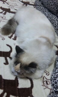 ���Ȃ���