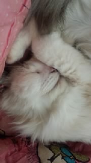 �������܂�