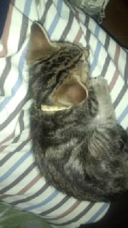 �����Ȃ�