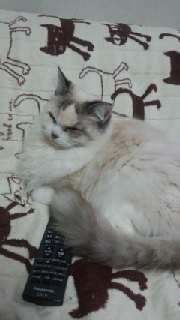 1���I���