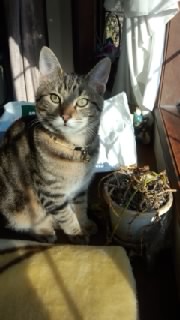 �L������Ȃ�����