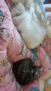 �N������