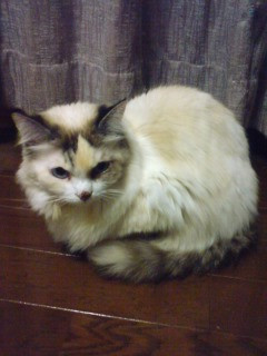 ���~��������